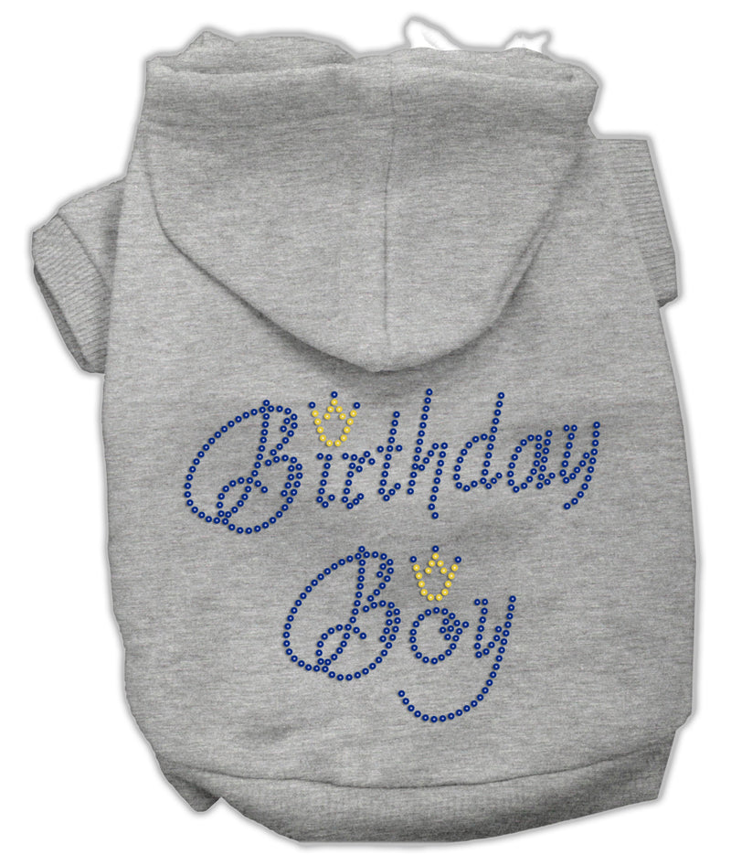 Birthday Boy Hoodies Grey Xl GreatEagleInc