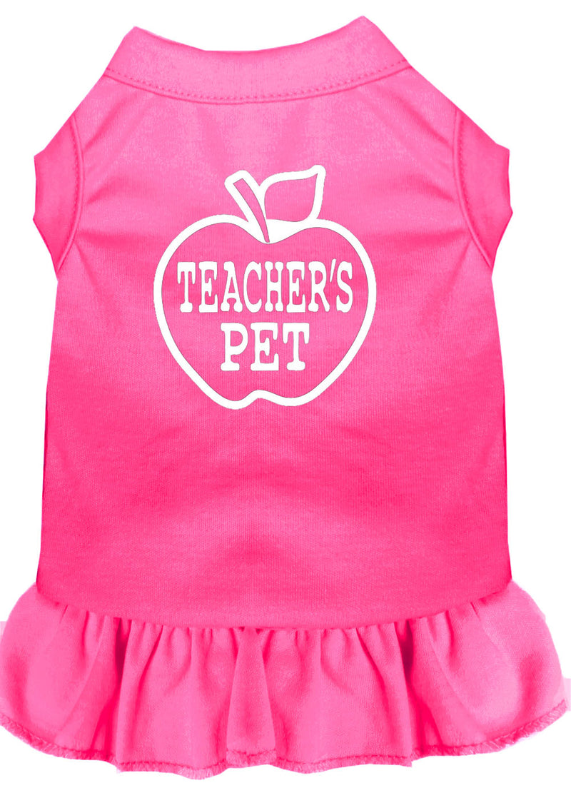 Teachers Pet Screen Print Dress Bright Pink Med GreatEagleInc