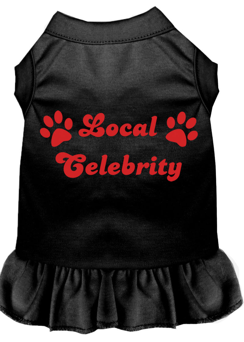 Local Celebrity Screen Print Dress Black 4x (22) GreatEagleInc