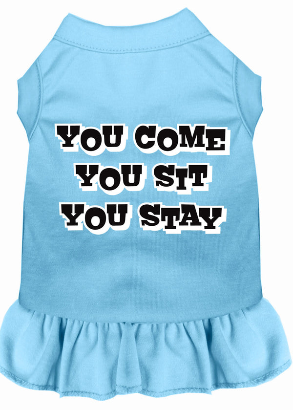 You Come, You Sit, You Stay Screen Print Dress Baby Blue 4x (22) GreatEagleInc