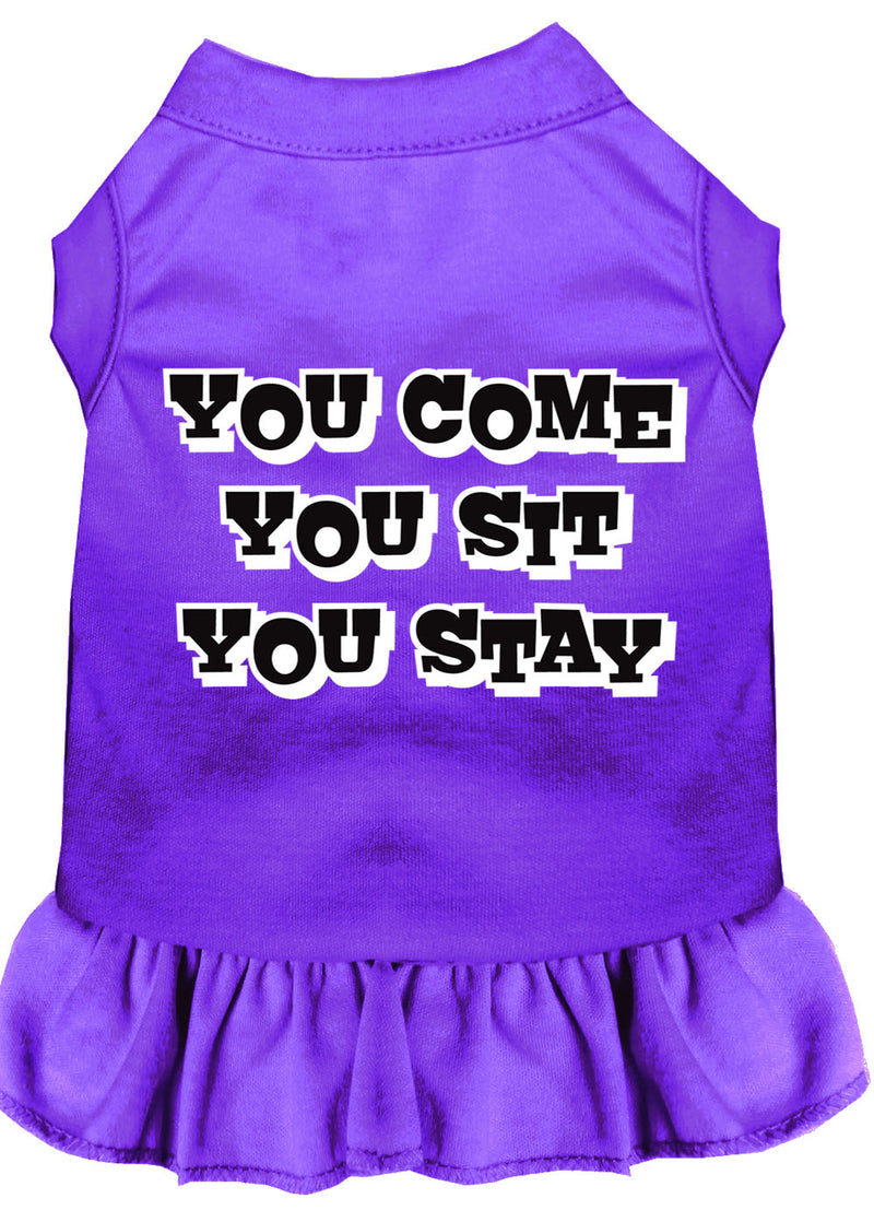 You Come, You Sit, You Stay Screen Print Dress Purple 4x (22) GreatEagleInc
