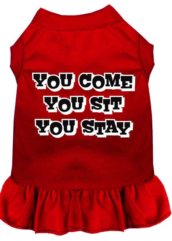 You Come, You Sit, You Stay Screen Print Dress Red Lg GreatEagleInc