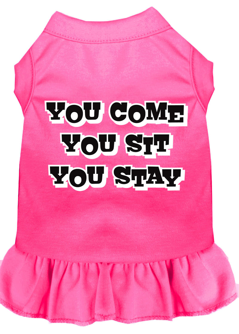 You Come, You Sit, You Stay Screen Print Dress Bright Pink Med GreatEagleInc