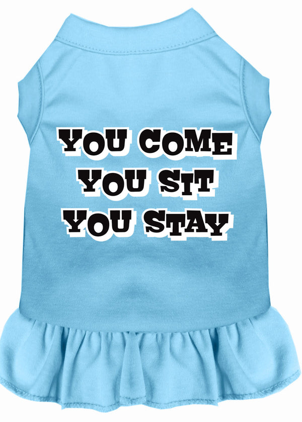 You Come, You Sit, You Stay Screen Print Dress Baby Blue Sm GreatEagleInc