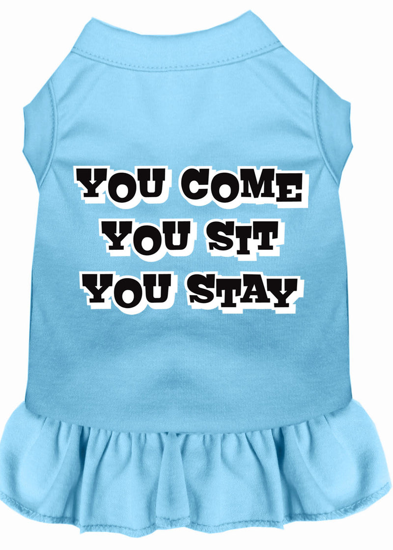 You Come, You Sit, You Stay Screen Print Dress Baby Blue Sm GreatEagleInc