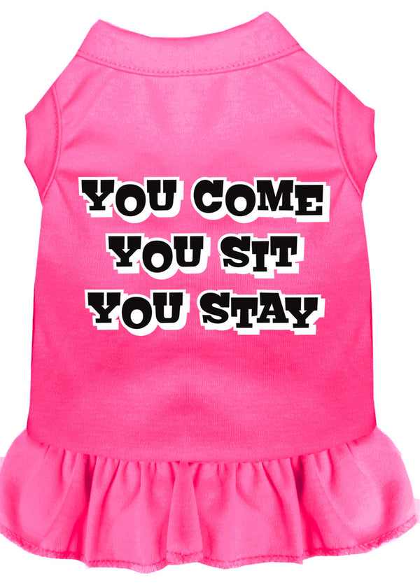 You Come, You Sit, You Stay Screen Print Dress Bright Pink Sm GreatEagleInc