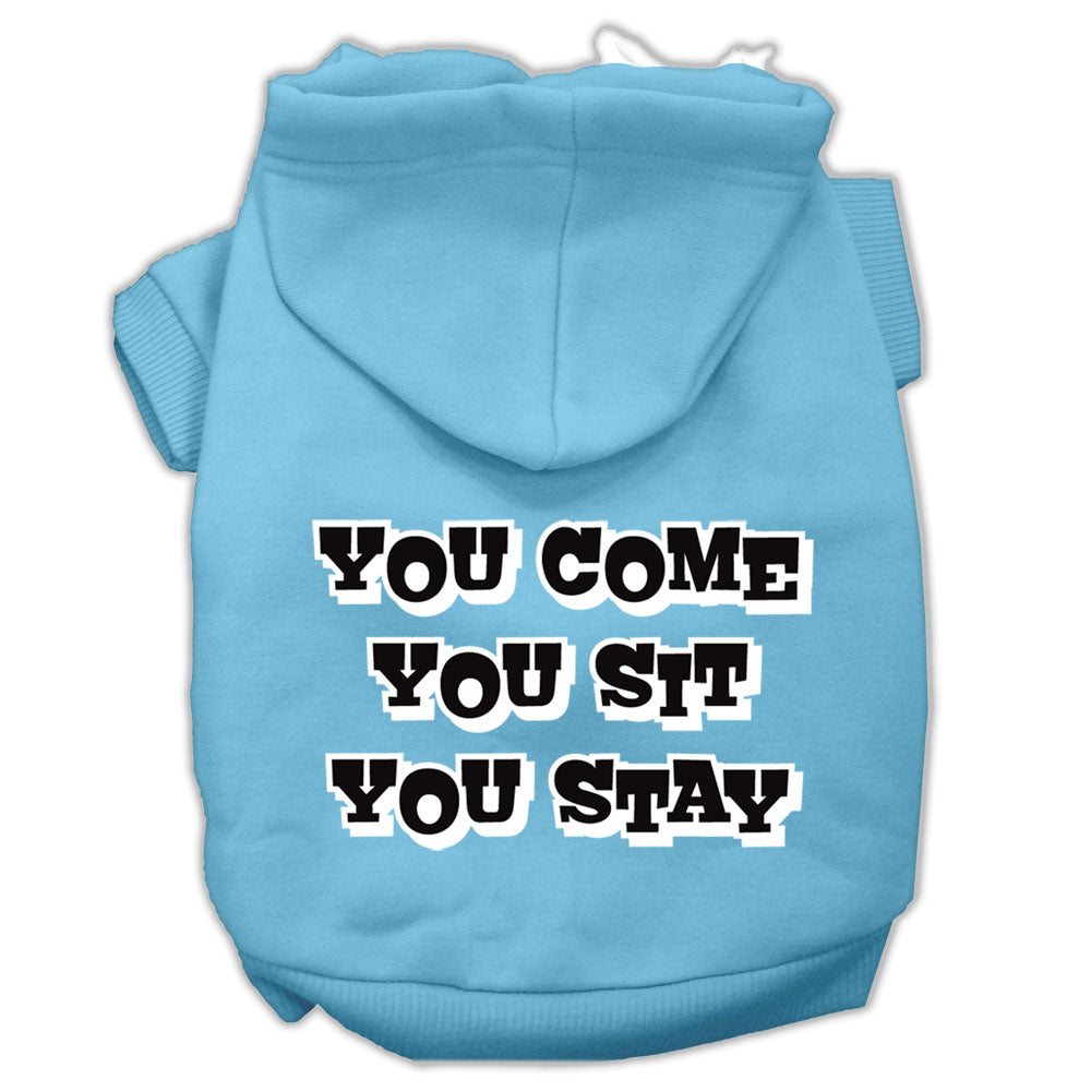 You Come, You Sit, You Stay Screen Print Pet Hoodies Baby Blue Size Lg GreatEagleInc