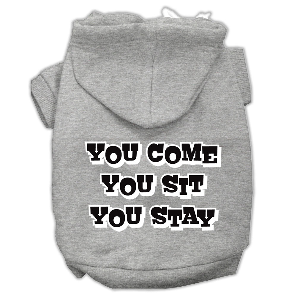 You Come, You Sit, You Stay Screen Print Pet Hoodies Grey Size S GreatEagleInc