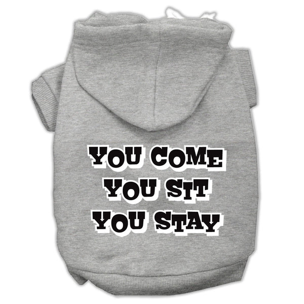 You Come, You Sit, You Stay Screen Print Pet Hoodies Grey Size Xl GreatEagleInc