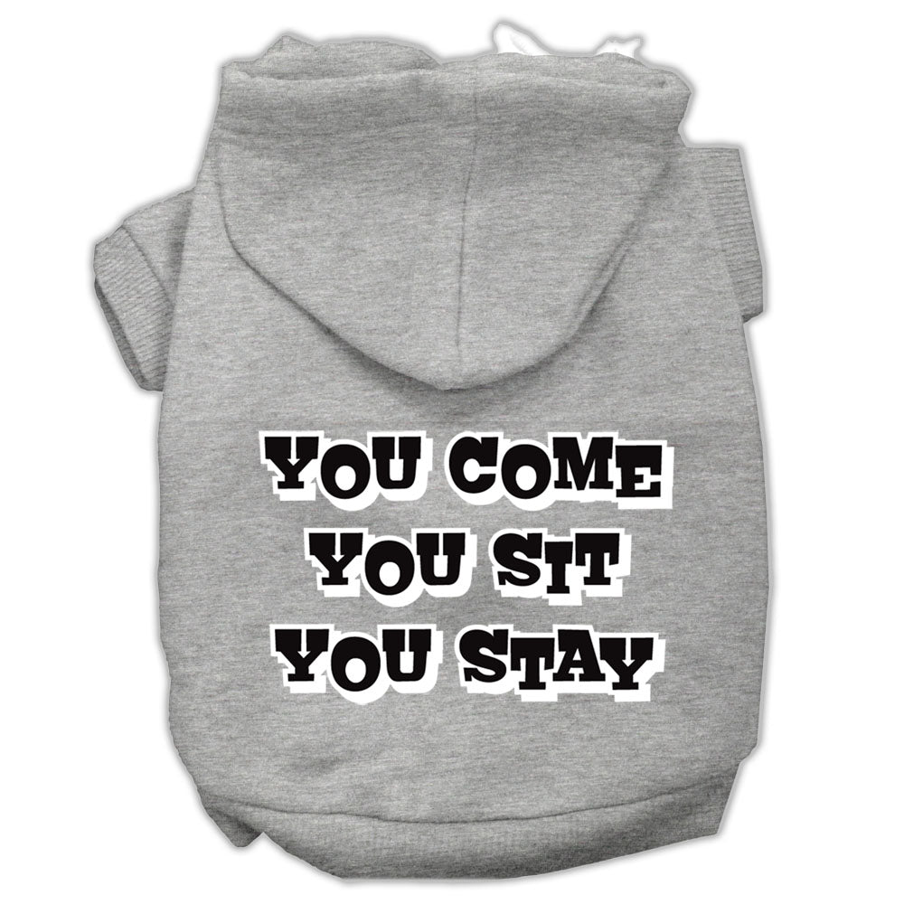You Come, You Sit, You Stay Screen Print Pet Hoodies Grey Size Xxxl Default Title