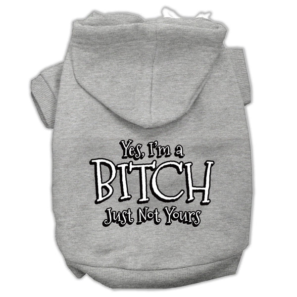 Yes I'm A Bitch Just Not Yours Screen Print Pet Hoodies Grey Size Xl Default Title