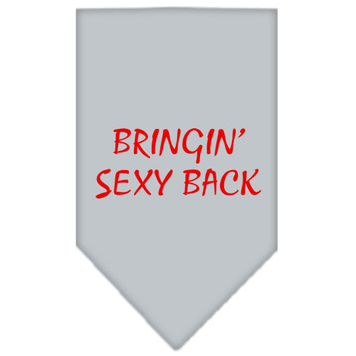Bringin Sexy Back Screen Print Bandana Grey Small Default Title