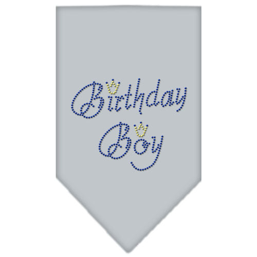 Birthday Boy Rhinestone Bandana Grey Small GreatEagleInc