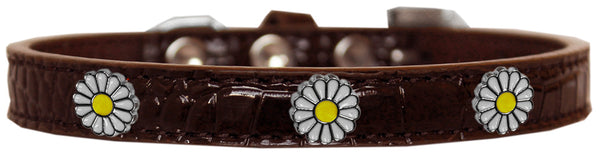 White Daisy Widget Croc Dog Collar Chocolate Size 16 GreatEagleInc