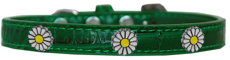 White Daisy Widget Croc Dog Collar Emerald Green Size 10 GreatEagleInc