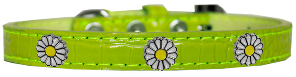 White Daisy Widget Croc Dog Collar Lime Green Size 12 GreatEagleInc