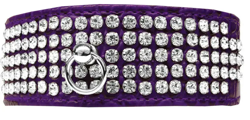 Mirage-5-Row-Rhinestone-Designer-Croc-Dog-Collar-Purple-Size-20-GreatEagleInc-334348325