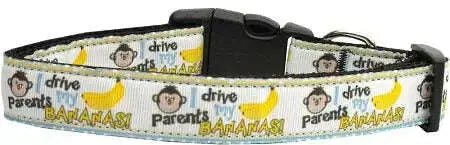 Monkey-Madness-Nylon-Ribbon-Collars-Medium-GreatEagleInc-318840694
