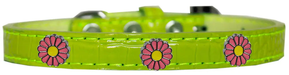 Pink Daisy Widget Croc Dog Collar Lime Green Size 14 Default Title