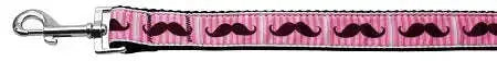 Pink-Striped-Moustache-Nylon-Dog-Leash-3-8-Inch-Wide-4ft-Long-GreatEagleInc-318520015