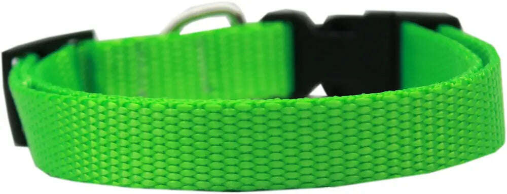 Plain-Nylon-Dog-Collar-Xs-Hot-Lime-Green-GreatEagleInc-334262294