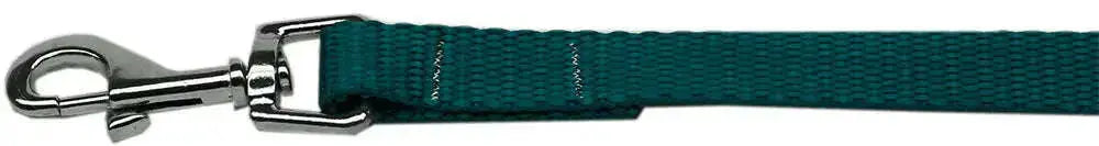 Plain-Nylon-Pet-Leash-5-8in-By-4ft-Teal-GreatEagleInc-334300234