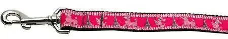 Poodles-In-Paris-Nylon-Dog-Leash-3-8-Inch-Wide-6ft-Long-GreatEagleInc-318905237