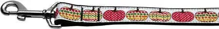 Pretty-Pumpkins-Nylon-Dog-Leash-3-8-Inch-Wide-4ft-Long-GreatEagleInc-318823736