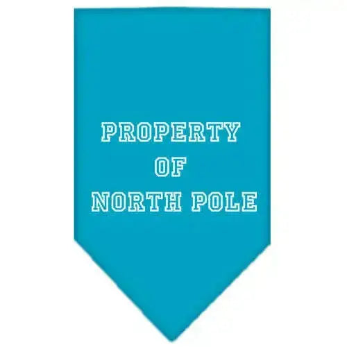 Property-Of-North-Pole-Screen-Print-Bandana-Turquoise-Large-GreatEagleInc-319832287