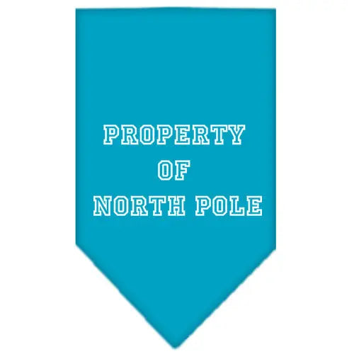 Property Of North Pole Screen Print Bandana Turquoise Small Default Title