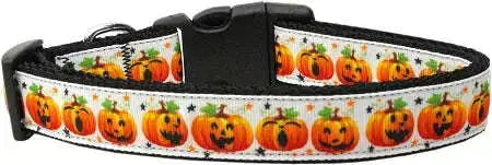 Pumpkin-Parade-Nylon-Dog-Collar-Xl-GreatEagleInc-318783447
