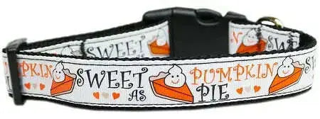 Pumpkin-Pie-Nylon-Dog-Collar-Xs-GreatEagleInc-318769223