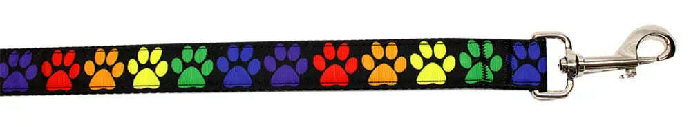 Rainbow-Paws-Nylon-Pet-Leash-5-8in-By-4ft-GreatEagleInc-334330462