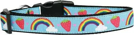 Rainbows-And-Berries-Nylon-Dog-Collar-Large-GreatEagleInc-333699796