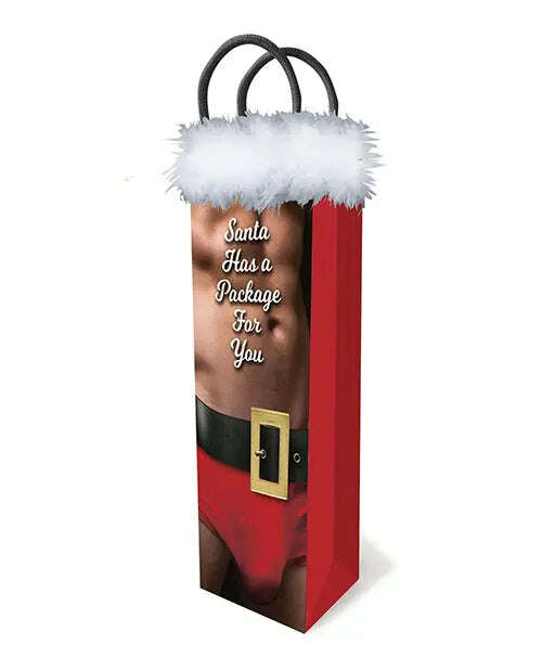 Santa-Has-A-Big-Package-For-You-Gift-Bag-Little-Genie-335091036