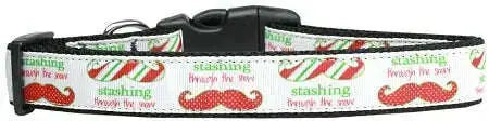 Stashing-Through-The-Snow-Nylon-Cat-Collar-GreatEagleInc-320015756