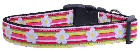Striped Daisy Ribbon Dog Collars Medium Default Title