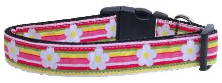 Striped-Daisy-Ribbon-Dog-Collars-Medium-GreatEagleInc-318907179
