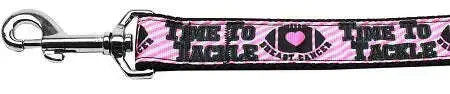 Tackle-Breast-Cancer-Nylon-Dog-Leash-3-8-Inch-Wide-4ft-Long-GreatEagleInc-318845760