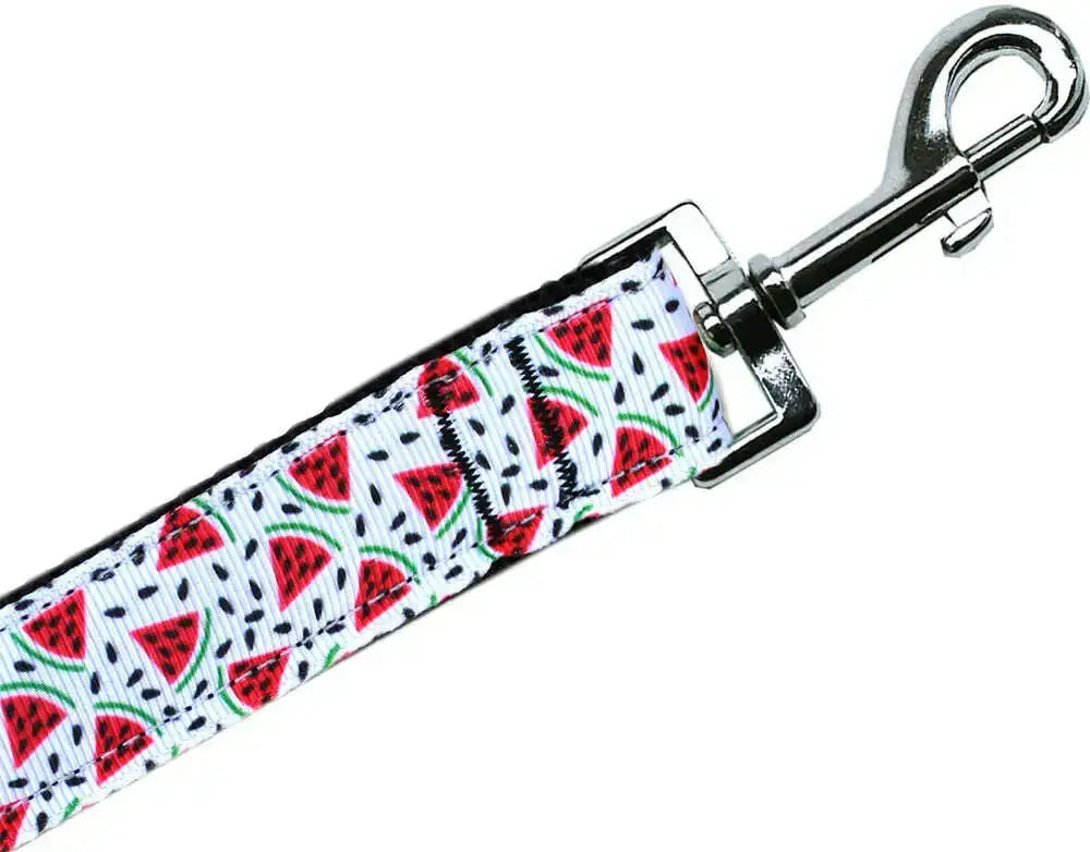 Watermelon-Nylon-Pet-Leash-3-8in-By-6ft-GreatEagleInc-333690826