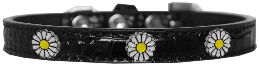 White Daisy Widget Croc Dog Collar Black Size 14 Default Title