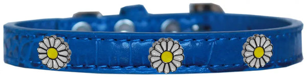 White Daisy Widget Croc Dog Collar Blue Size 10 Default Title