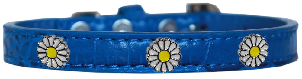 White Daisy Widget Croc Dog Collar Blue Size 20 Default Title