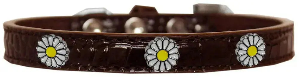 White-Daisy-Widget-Croc-Dog-Collar-Chocolate-Size-16-GreatEagleInc-319994433