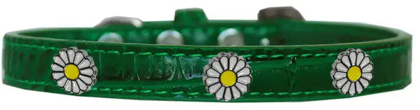 White-Daisy-Widget-Croc-Dog-Collar-Emerald-Green-Size-16-GreatEagleInc-319995552