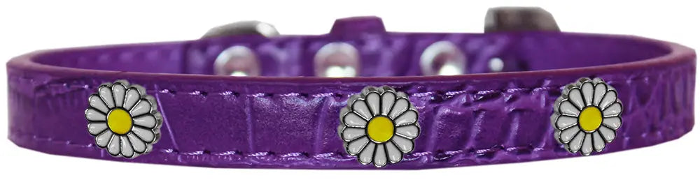 White Daisy Widget Croc Dog Collar Purple Size 18 Default Title