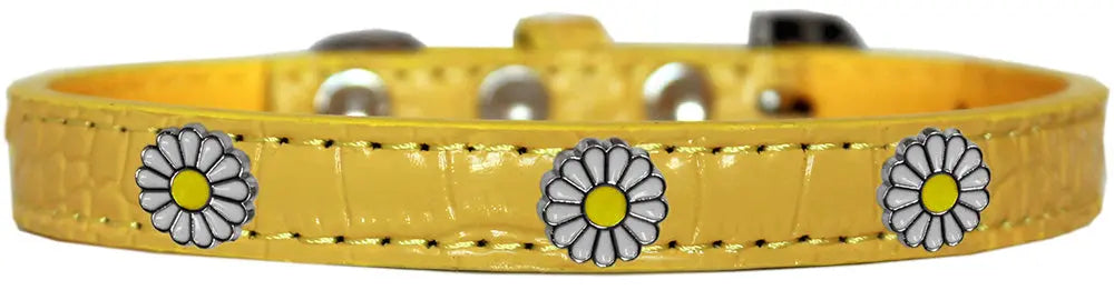 White Daisy Widget Croc Dog Collar Yellow Size 12 Default Title