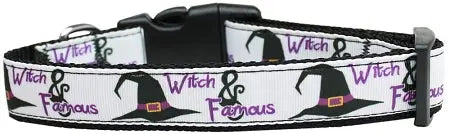 Witch And Famous Nylon Cat Collar Default Title