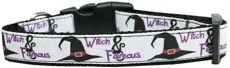 Witch-And-Famous-Nylon-Dog-Collar-Medium-Narrow-GreatEagleInc-320022662