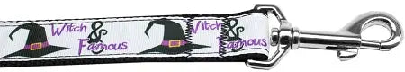 Witch And Famous Nylon Dog Leash 3/8 Inch Wide 4ft Long Default Title